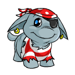 Pirate Poogle