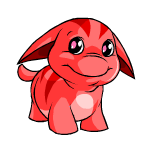 Red Poogle