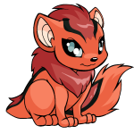 Orange Xweetok - (Salmon) Orange Xweetok - (Salmon)