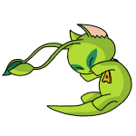 Green Aisha