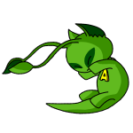 Green Aisha