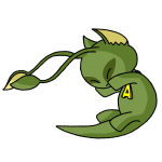 Green Aisha