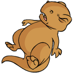 Brown Grarrl