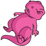 Pink Grarrl