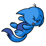 Blue Kacheek