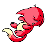 Red Kacheek