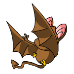 Brown Korbat