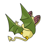 Green Korbat