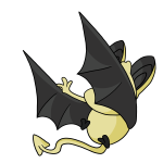 Yellow Korbat