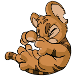 Brown Kougra