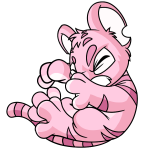 Pink Kougra