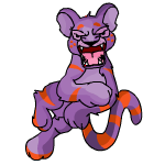 Purple Kougra