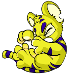 Yellow Kougra