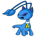 Blue Aisha