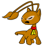 Brown Aisha