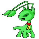 Green Aisha