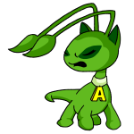 Green Aisha