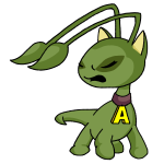 Green Aisha