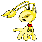 Yellow Aisha