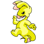 Yellow Blumaroo