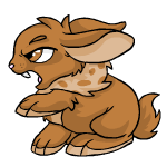 Brown Cybunny