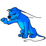 Blue Gelert