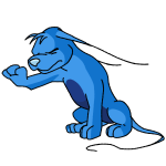 Blue Gelert