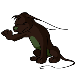 Brown Gelert