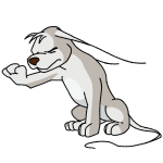 White Gelert