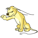 Yellow Gelert