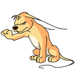 Yellow Gelert