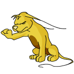 Yellow Gelert