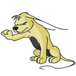 Yellow Gelert