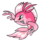 Pink Koi