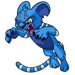 Blue Kougra