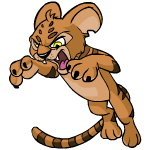 Brown Kougra