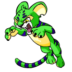 Green Kougra