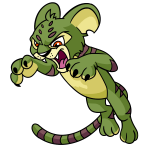 Green Kougra