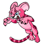 Pink Kougra