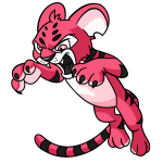 Pink Kougra