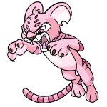 Pink Kougra