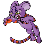 Purple Kougra