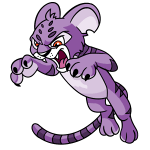 Purple Kougra