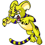 Yellow Kougra