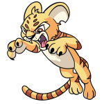 Yellow Kougra