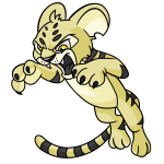 Yellow Kougra