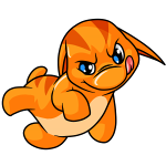 Orange Poogle