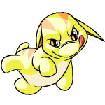 Yellow Poogle