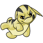 Yellow Poogle