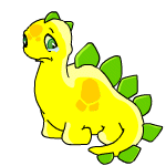 Yellow Chomby